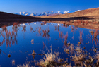 McKenzie Country 101203.jpg